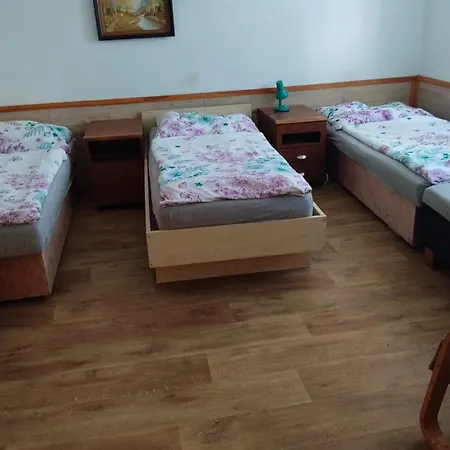 ゲストハウス Hospudka U Pincu